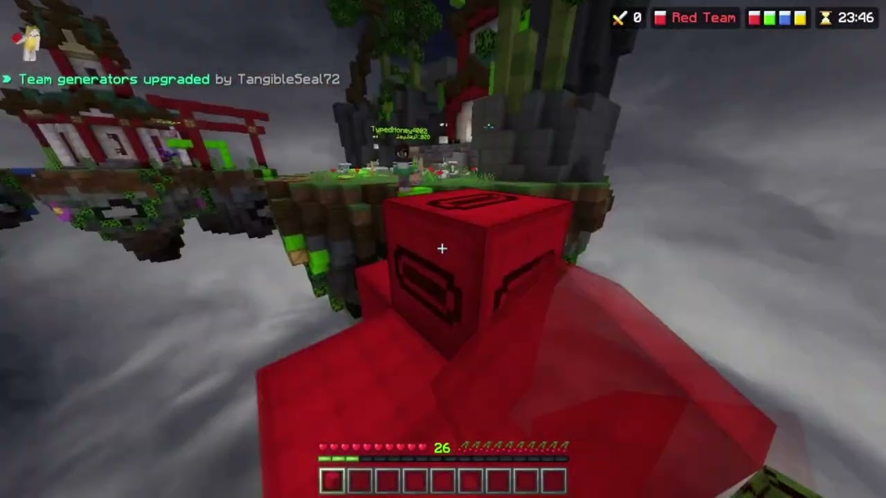 I Got 1000 Kills In Hive Bedwars!
