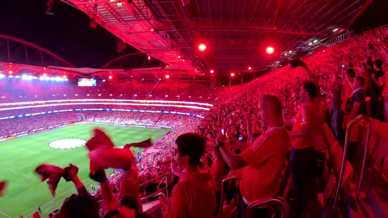 UM VERDADEIRO ESPETACULO!!! Champions League - Benfica vs Feyenoord