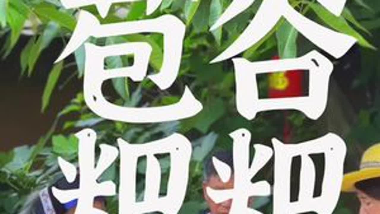 苞谷粑粑 又到了一年中吃玉米的季节，做点玉米粑粑和玉米糊，都是儿时的味道，还有多少人记得玉米粑粑怎么做呀#大山里的味道 #杞妈妈小院 #玉米粑粑做法 #农村生活
