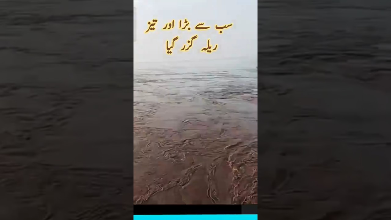 Chenab river #shorts