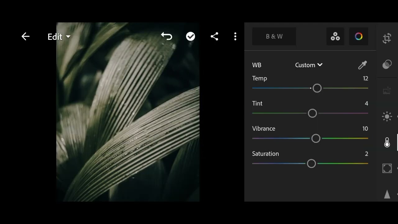 Moody Lightroom Preset / Free Moody Preset / Dark Presets / Dark Moody Preset Pack / Free Download