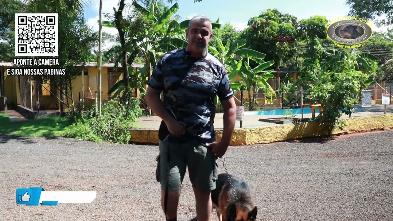 Chegada para Hospedagem - BRUCE - Pastor Alemão