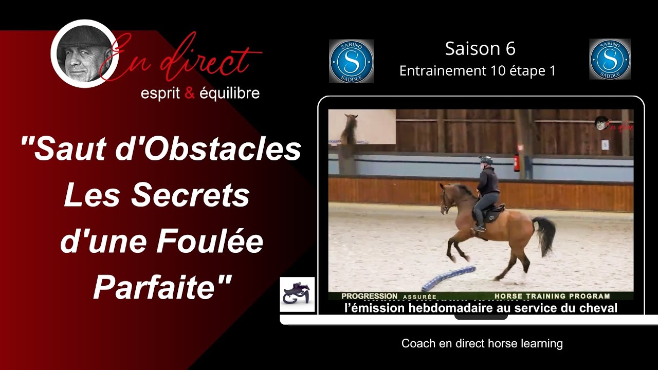 Saut d'Obstacles  Les Secrets d'une Foulée Parfaite @coachendirecthorselearning