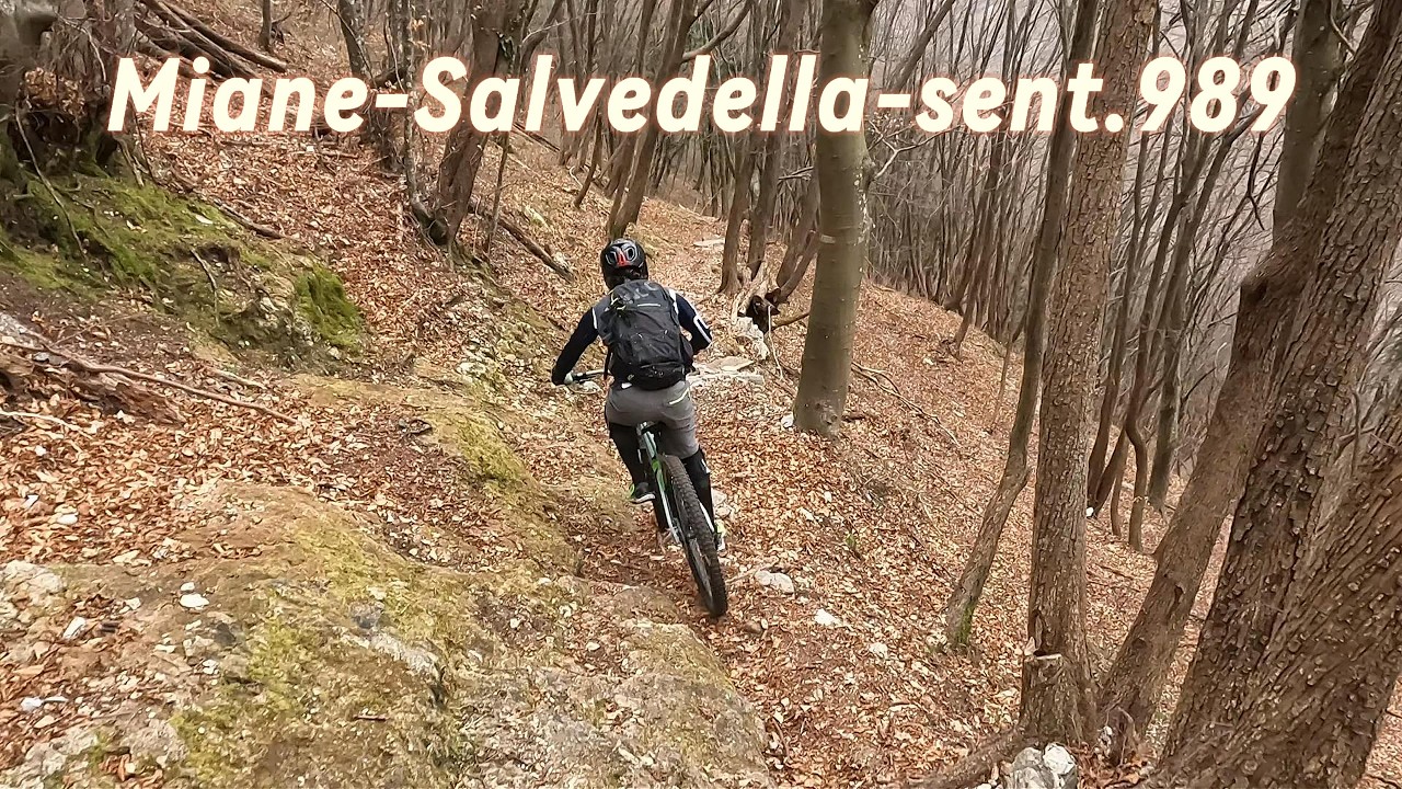 Miane-Salvedella-sent. 989