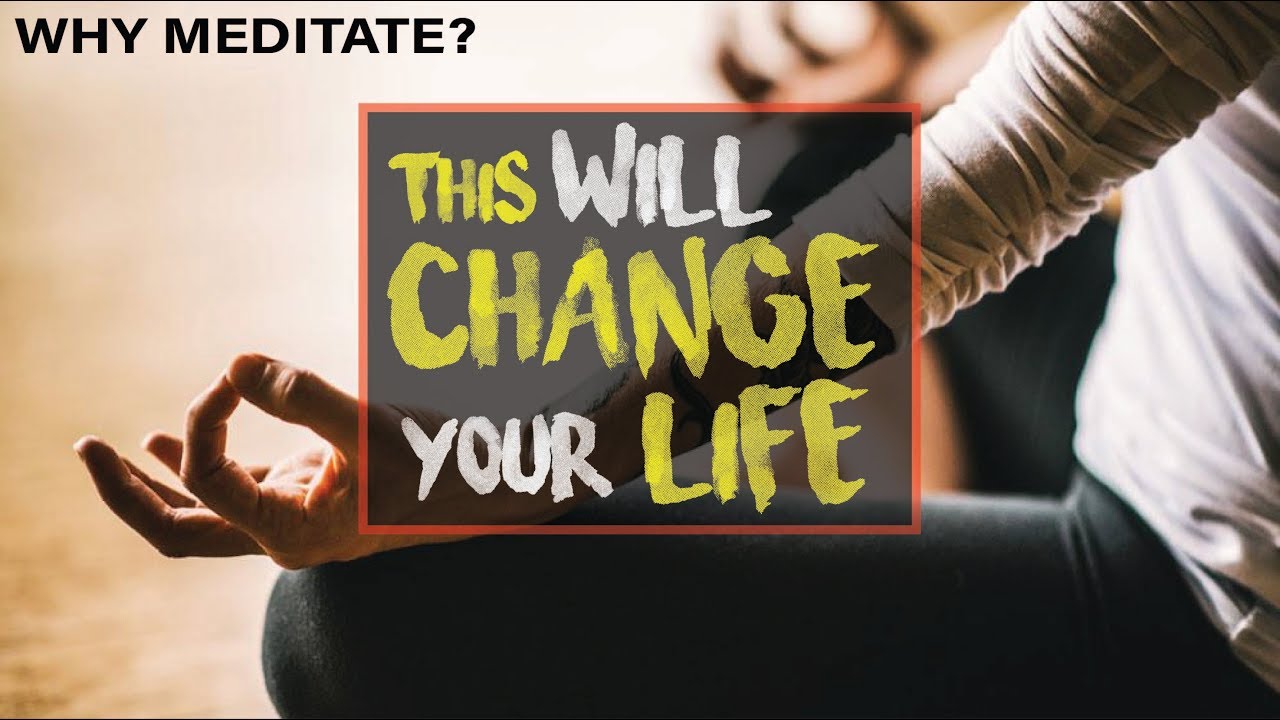 5 Reasons You Should Meditate Everyday and How to Get Started