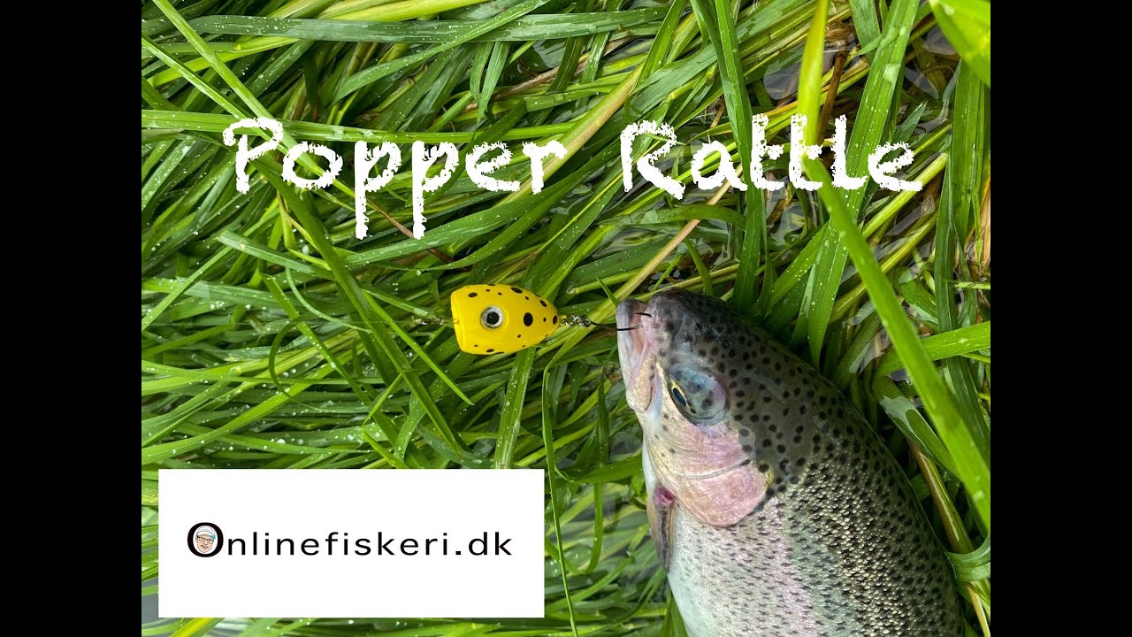 Overflade fiskeri Put and Take