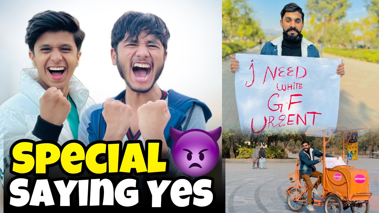 Most awaited Ali Zain Saying Yes To Tayyab 😂|| Amin Bilawaja phas Gia 🤣||