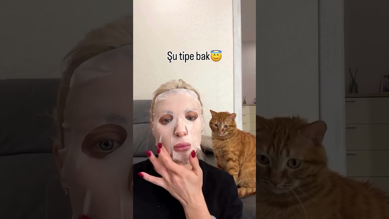#funny #cat #kasfet #cute