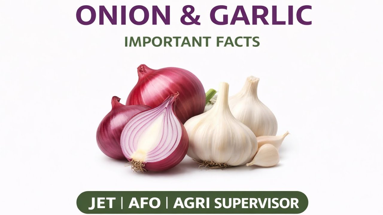 Onion & Garlic | Horticulture | JET | Agriculture Supervisor | AFO | Competitive Exams
