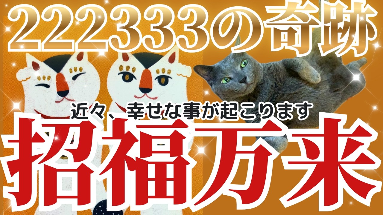 🎊㊗️近々あなたに起こる幸せなこと❤️猫の日ニャンニャンニャン Meow Meow Meowパワーで奇跡起こる✨😸招福万来😸✨［タロット/占い/オラクル/ルノルマン/チャネリング/現実創造/龍神］