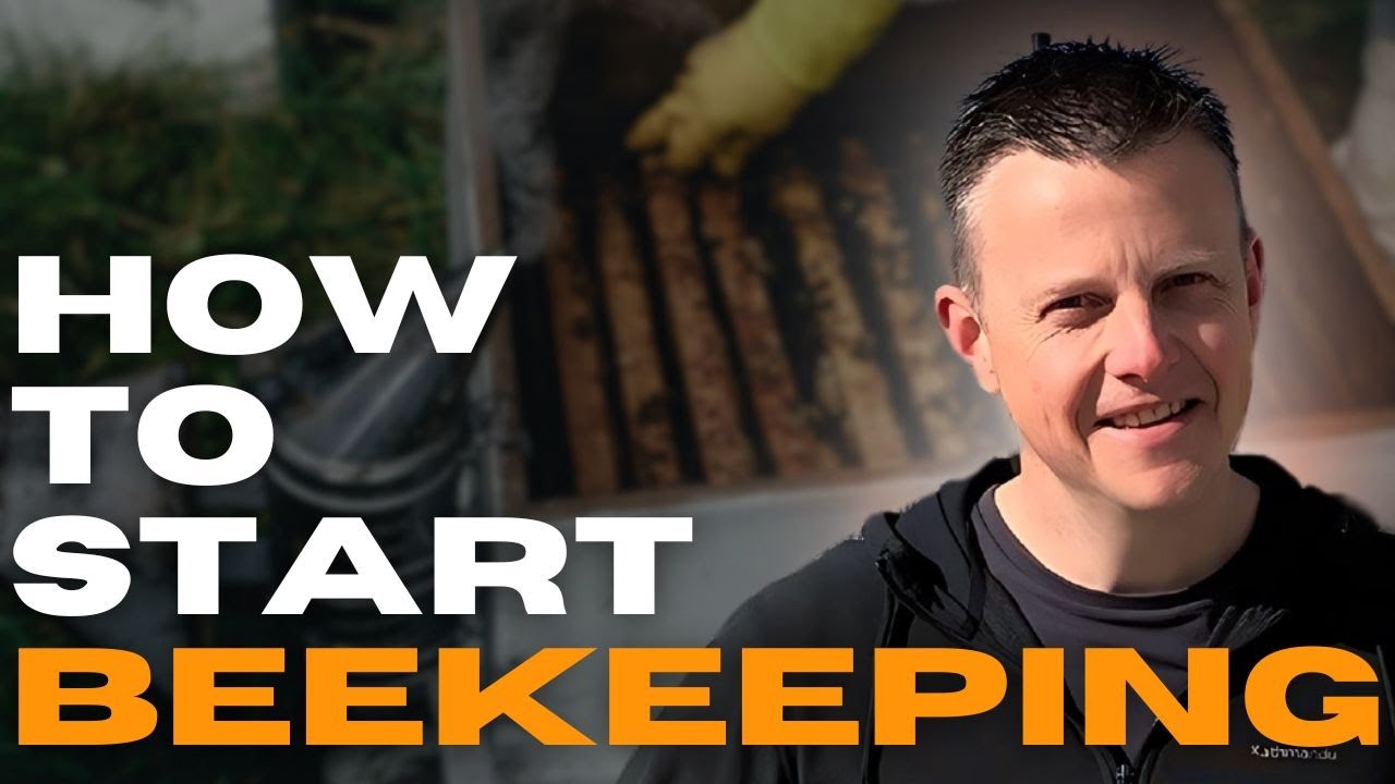 Everything You Need To Get Started In Beekeeping