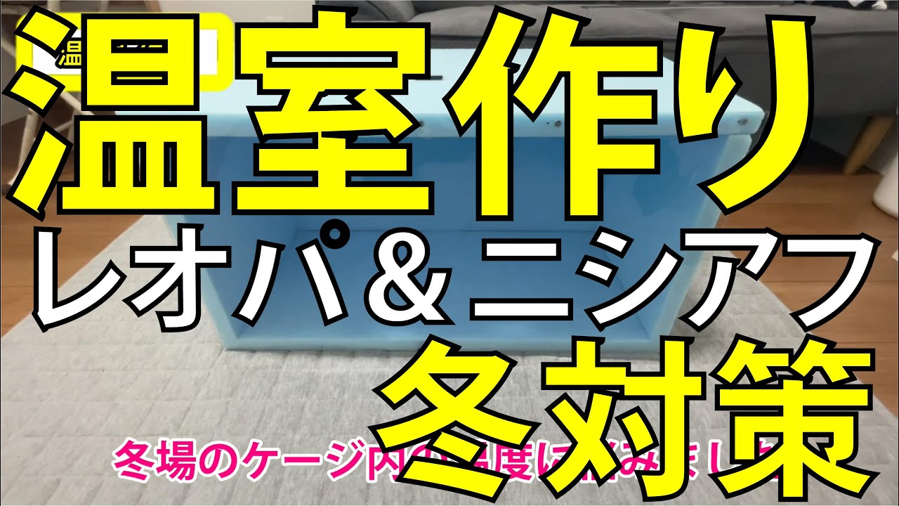 ニシアフ＆レオパ飼育　温室作り　冬対策！