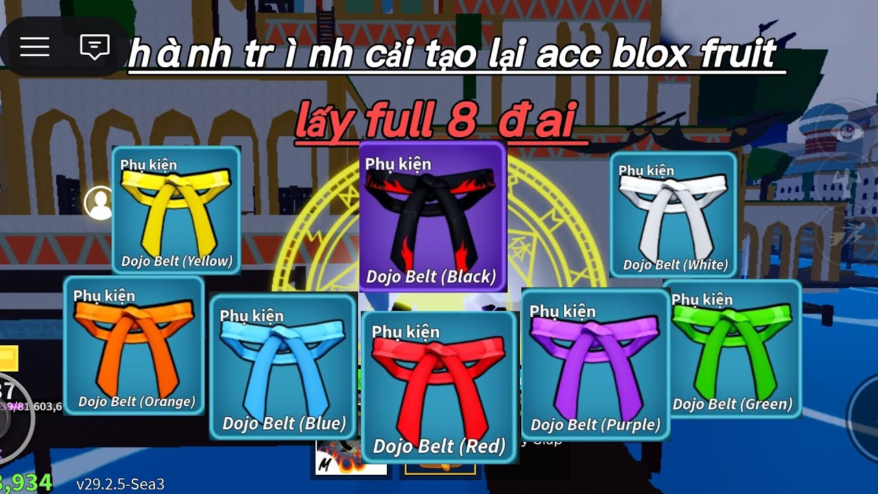Hành trình lấy 8 đai trong blox fruit 