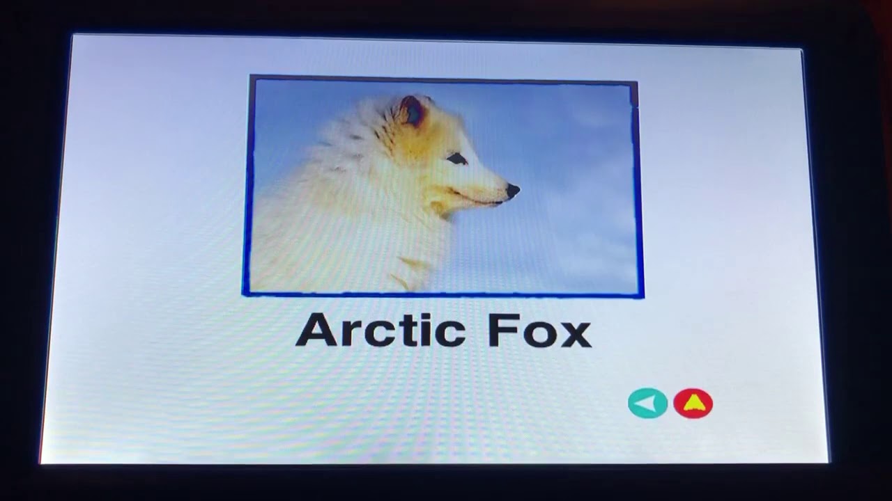 (REUPLOAD) Baby Noah 2004 DVD Menu