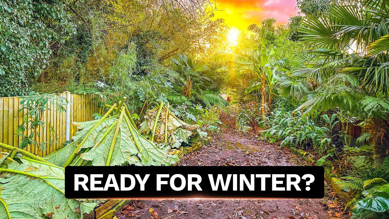 What Our UK Tropical Style Jungle Garden Looks Like In Late November 