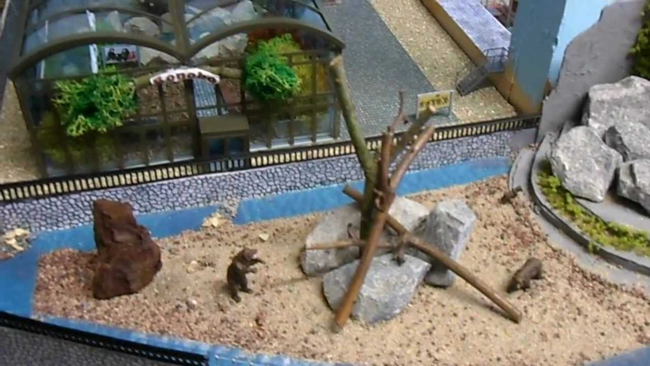 ZOO 1:87.AVI