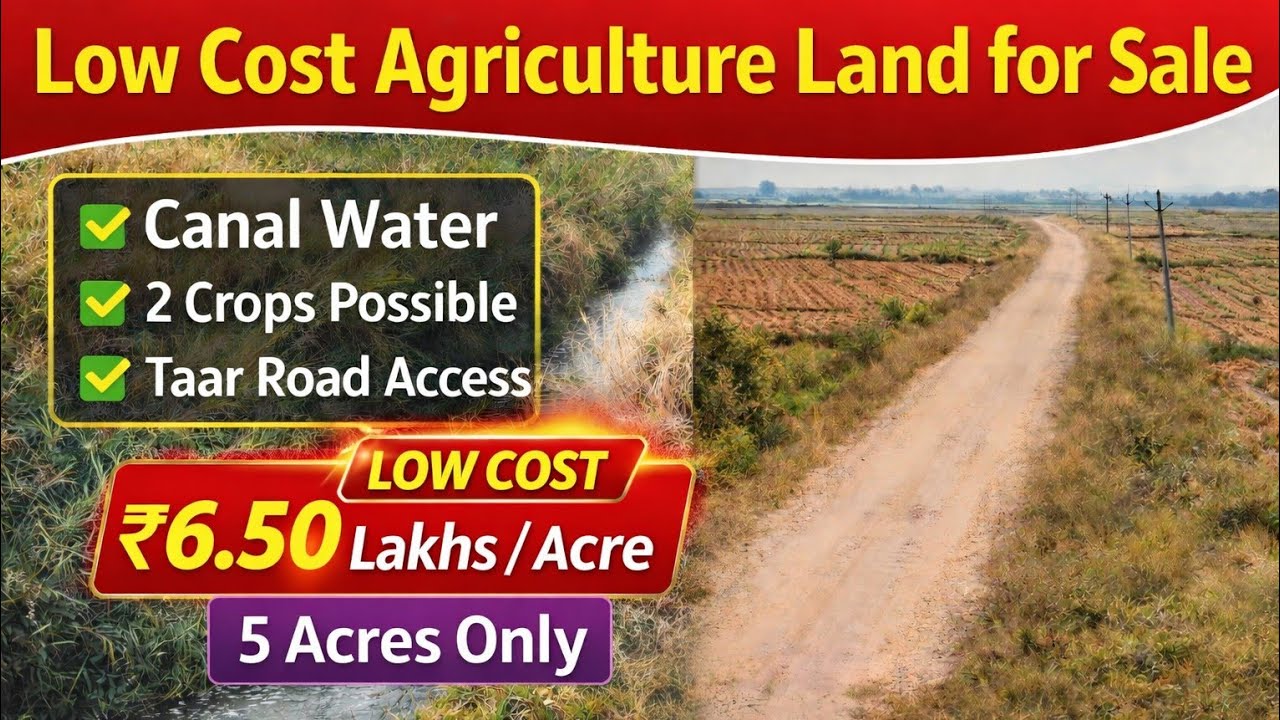 6.50 Lakhs Per Acre Agricultural Land in #Kurnool | Canal Water | 5 Acres |Taarroad 2nd| No - 2136