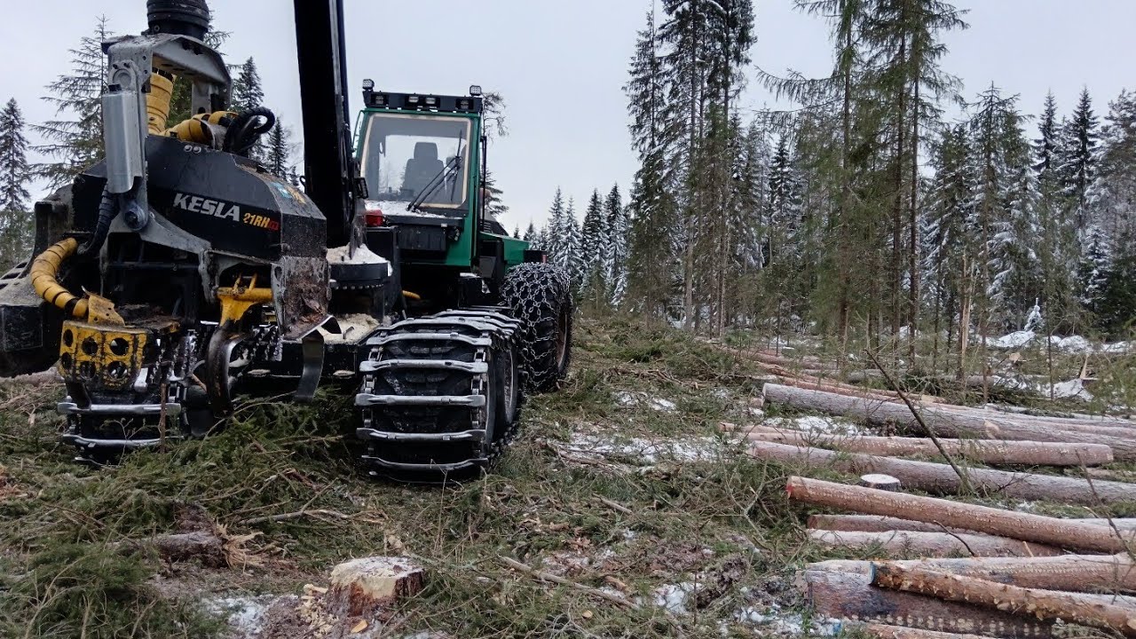 Päätehakkuulla