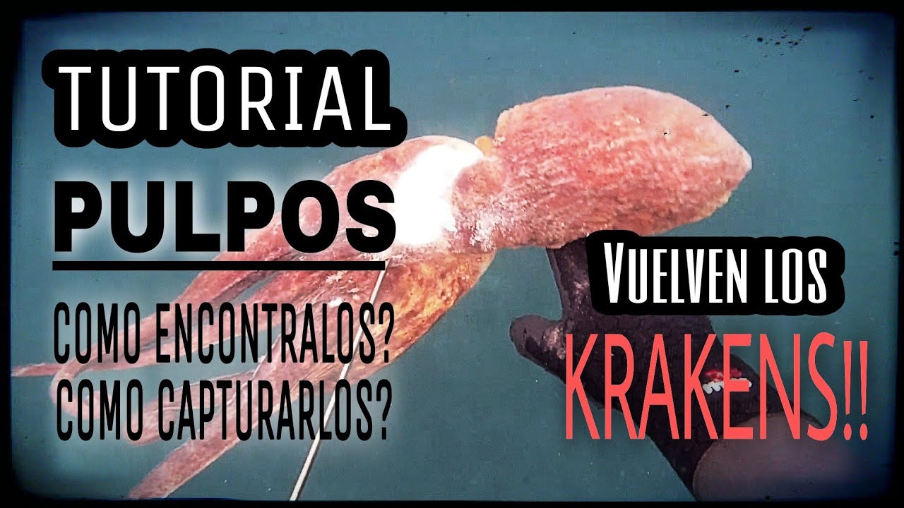 как ловить больших осьминогов🐙учебник по подводной охоте🔱подводная охота на гигантских осьминогов