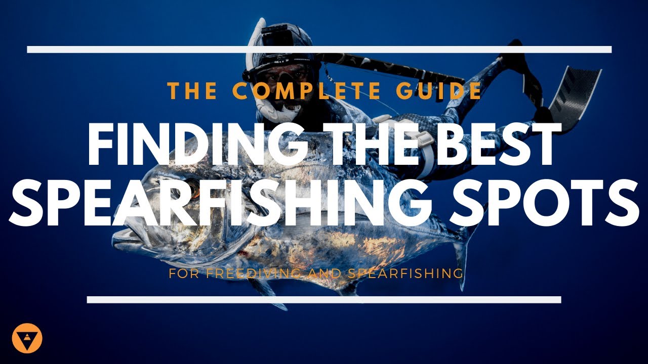 The Complete Guide | How To Find The Best Spearfishing Spots