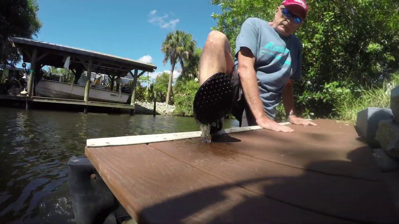 Leguano Barefoot Technology