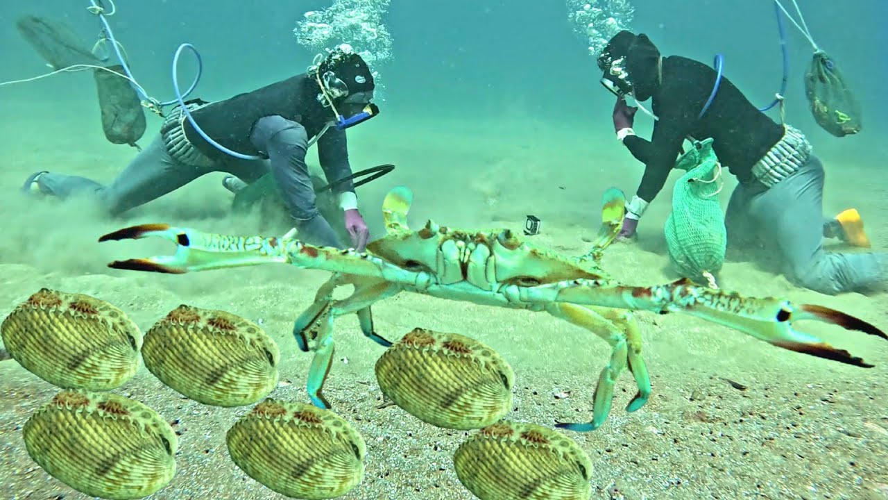 Diving for 6 Hours to Catch Seafood and Support My Family