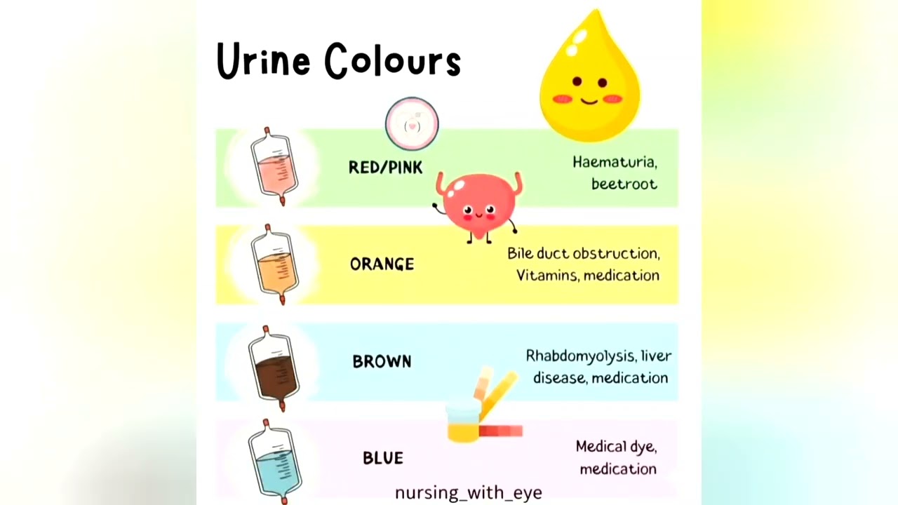 Urine colour speaks health 💧👩‍⚕️Early observation saves lives 🩺#NursingRole #UrineColour #Nursing 💙🤍