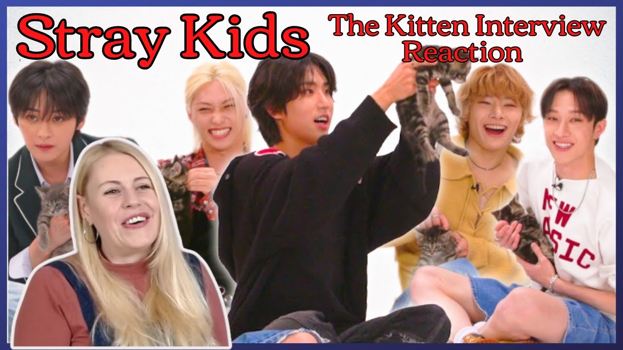 Stray Kids: The Kitten Interview - Reaction