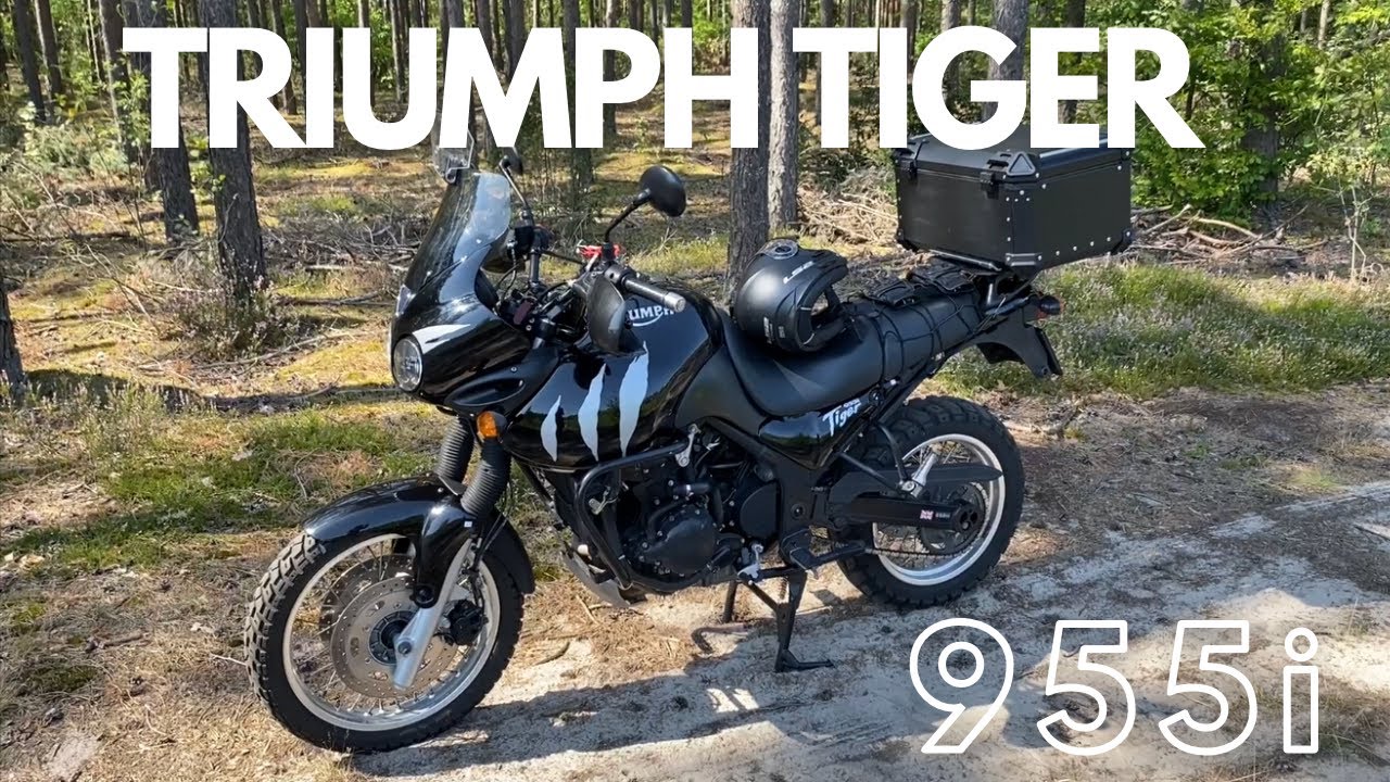 My name is Tiger. Triumph Tiger 955i🐅