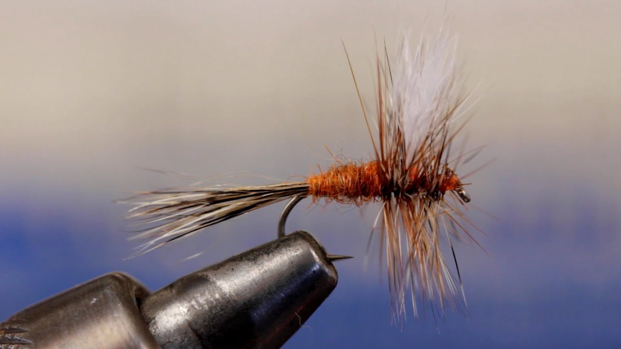 Ausable Wulff