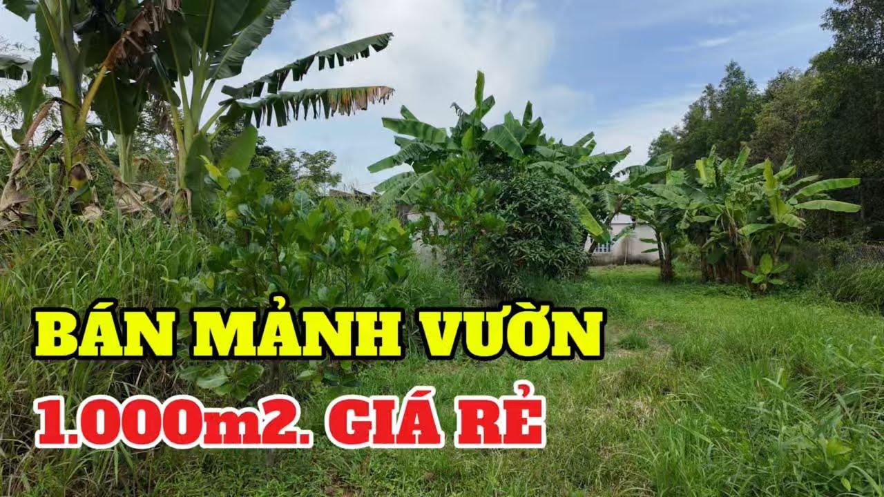 Sống Ở Sài Gòn BÁN RẺ Mảnh Vườn 1000m2 Cách Biển 9km Ở Bà Rịa Vũng Tàu 2.75 Ti