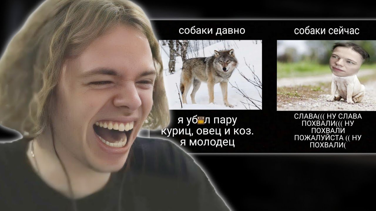 ФЫВФЫВ СМОТРИТ СМЕШНЫЕ ВИДЕО и МЕМЫ ОТ ПОДПИСЧИКОВ! 🤣 [#26]