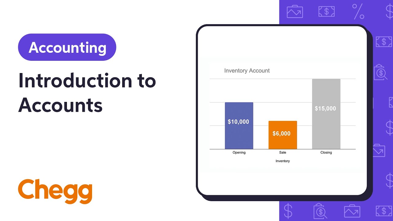 Introduction to Accounts | Financial Accounting