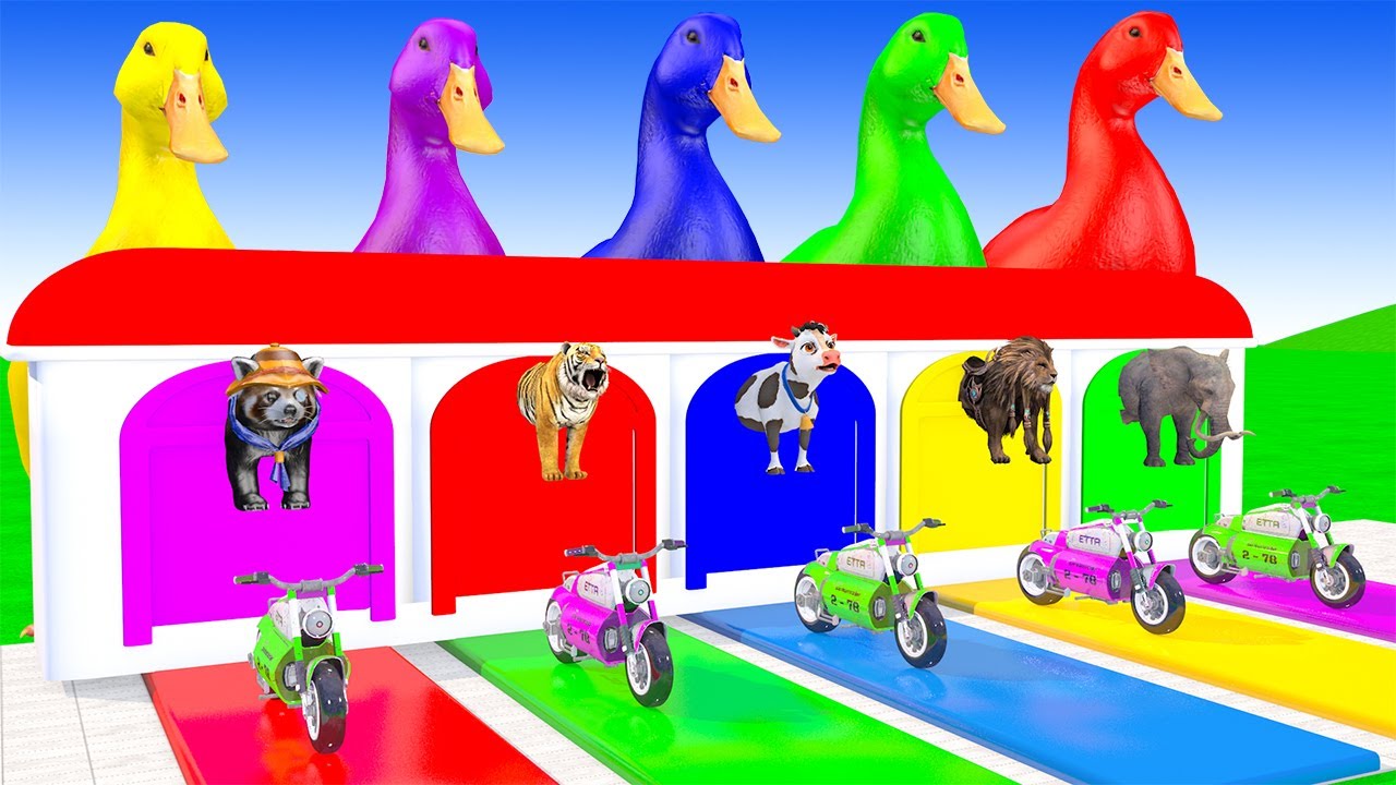 Long Slide Game with Cow Elephant Gorilla Hippopotamus Tiger 3d Animal Game Funny 3d Animals