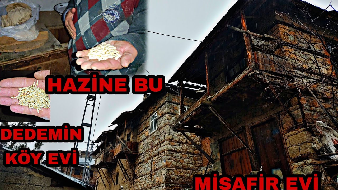 70 SENELİK AMBARDA HAZİNE~DAĞ EVİ BUĞDAY TOHUMLARI~DEDEMİN KÖY EVİ TADİLAT
