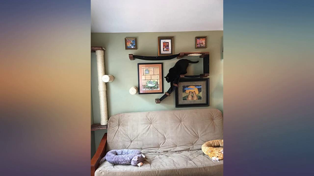 CatastrophiCreations Cat Mod Climb Track Handcrafted Wall Mounted Cat Tree Shelves, review
