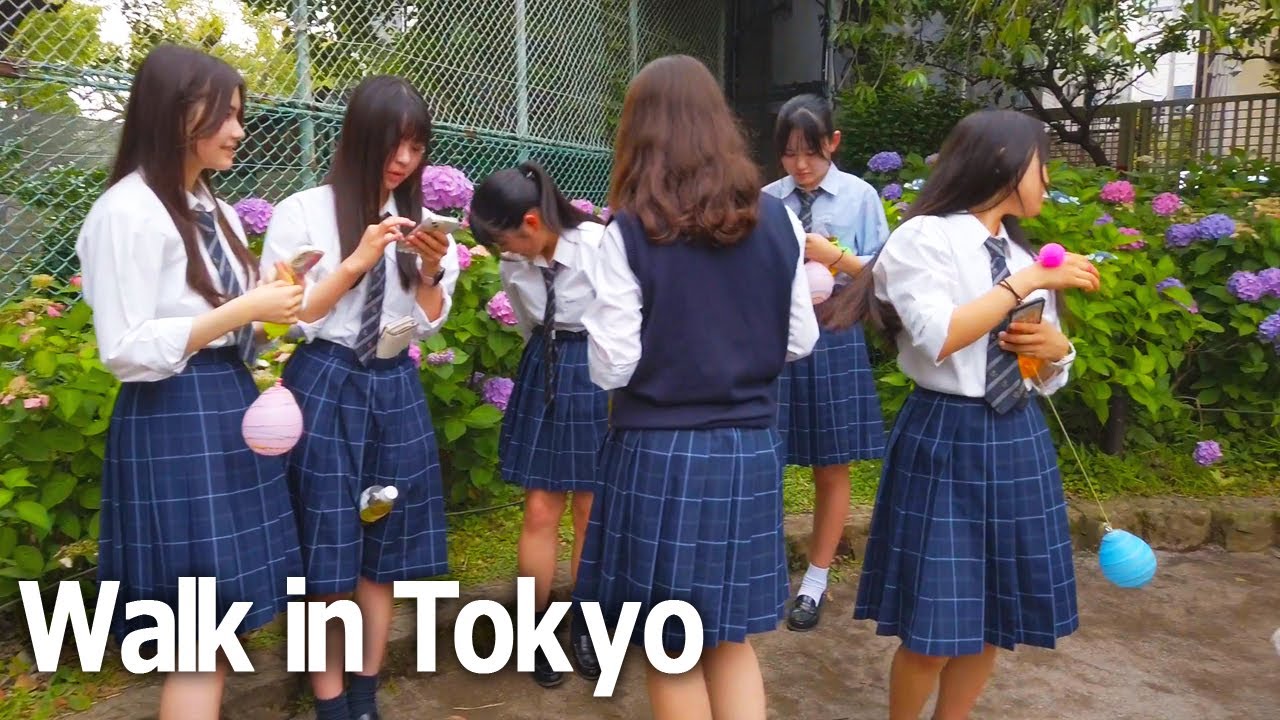 Tokyo Walking Tour - Hydrangea Festival in Hakusan area, Bunkyo City♪ (June 2023)