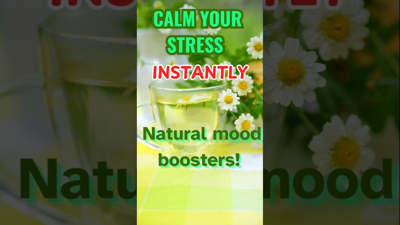 Foods That Instantly Calm Stress! 