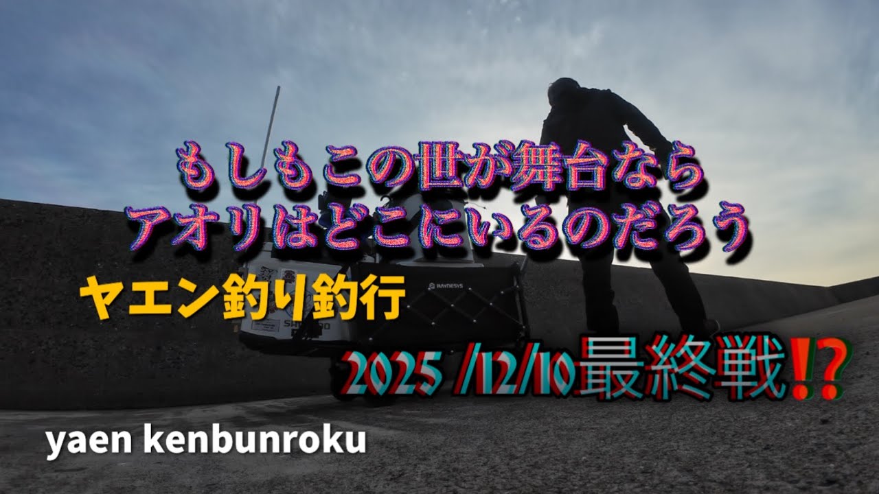 【ヤエン釣り　アオリイカ】#11 最終戦冬の陣⚔️