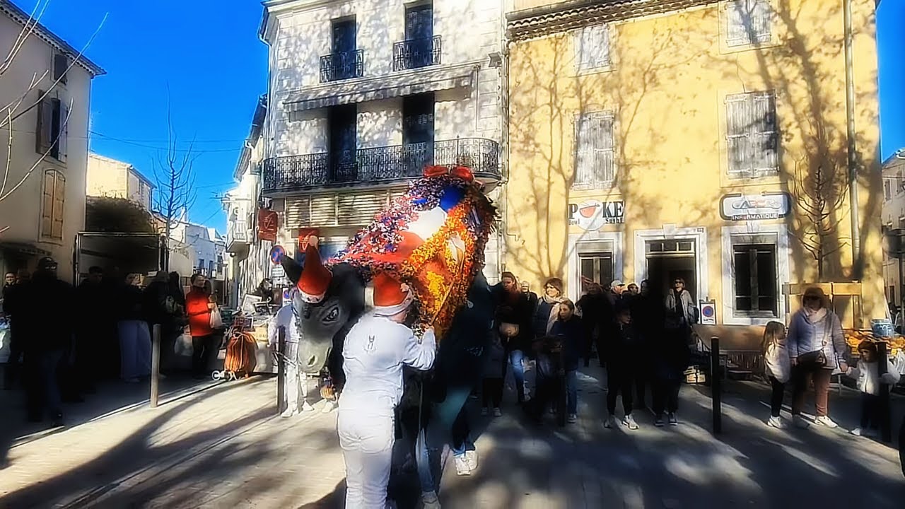 BESSAN ANNUAL CARNIVAL DONKEY PROCESSION 2023 - VIBRANT FESTIVAL CELEBRATION In SOUTHERN FRANCE !