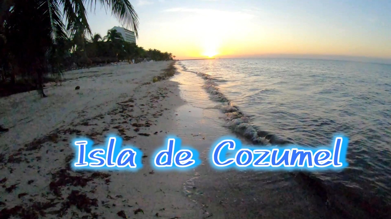 La experiencia Cozumel: sol, mar y aventura 🌊☀️#trip #visitméxico #quintanaroo #cozumel