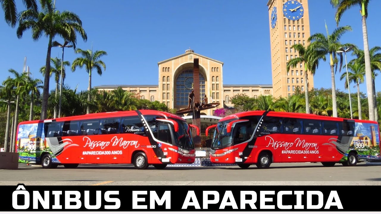 RODOVIÁRIA DE APARECIDA É UM CAOS NO MEIO DA RUA | A CAPITAL DA FÉ | MOVIMENTO DE ÔNIBUS