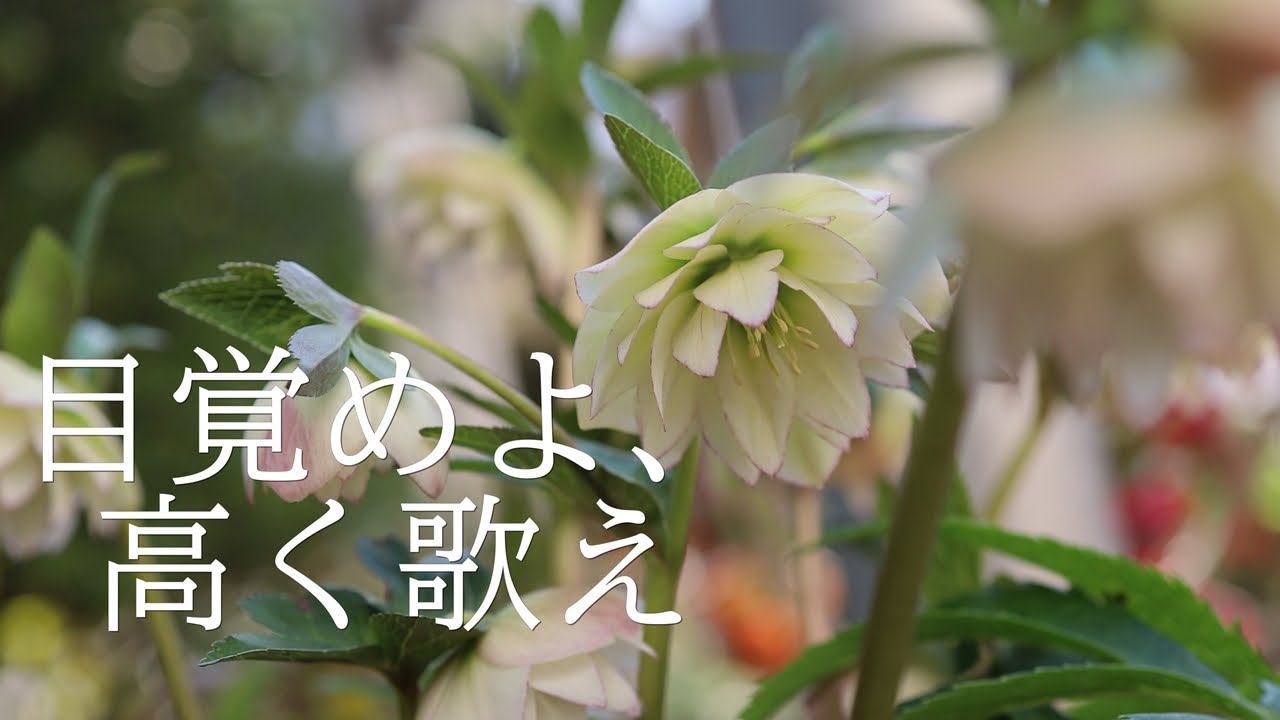 讃美歌21 257「目覚めよ、高く歌え」多重録音