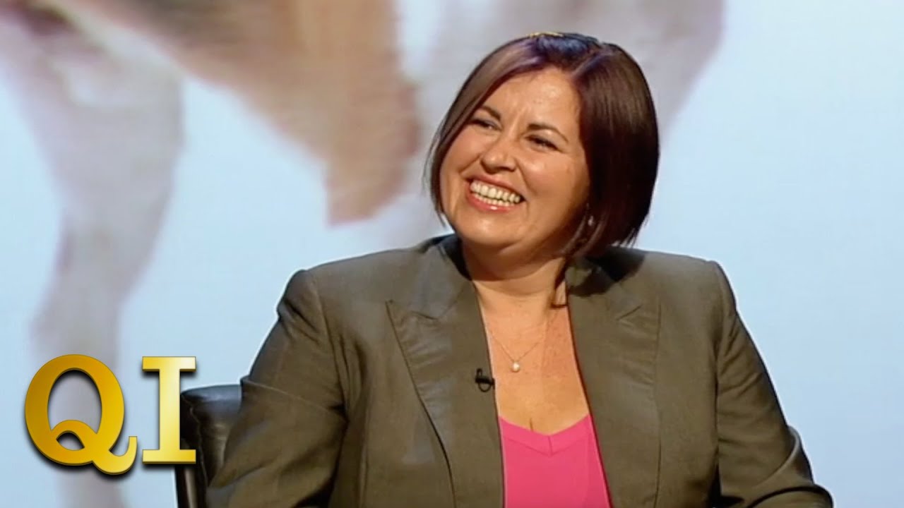 What's The Difference Between Scouse And Scottish Dogs? | QI