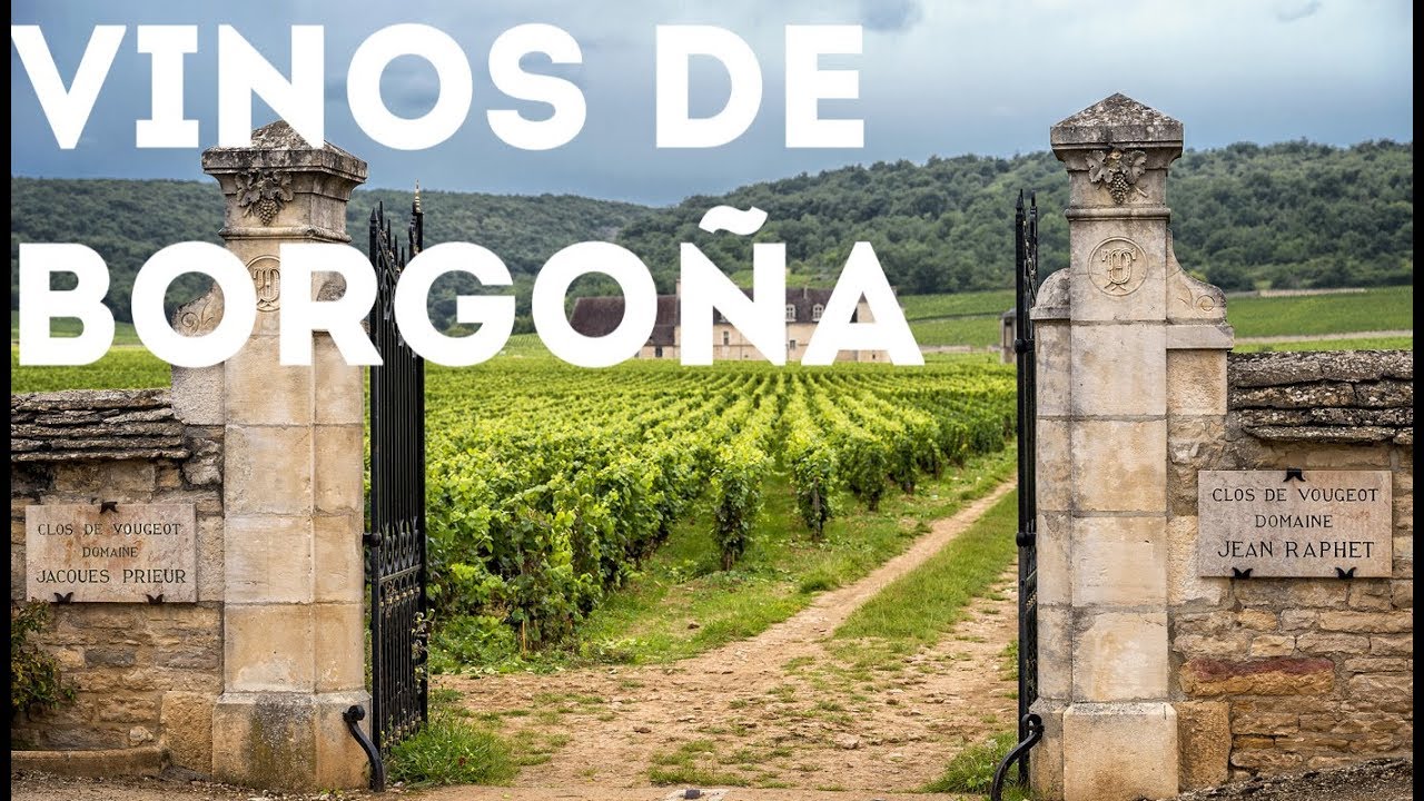 Los vinos de Borgoña