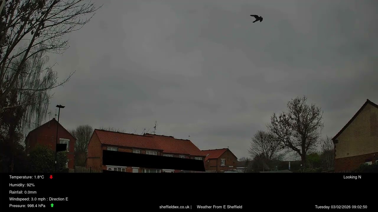 Time-Lapse 03 February 2026  - Sheffield UK