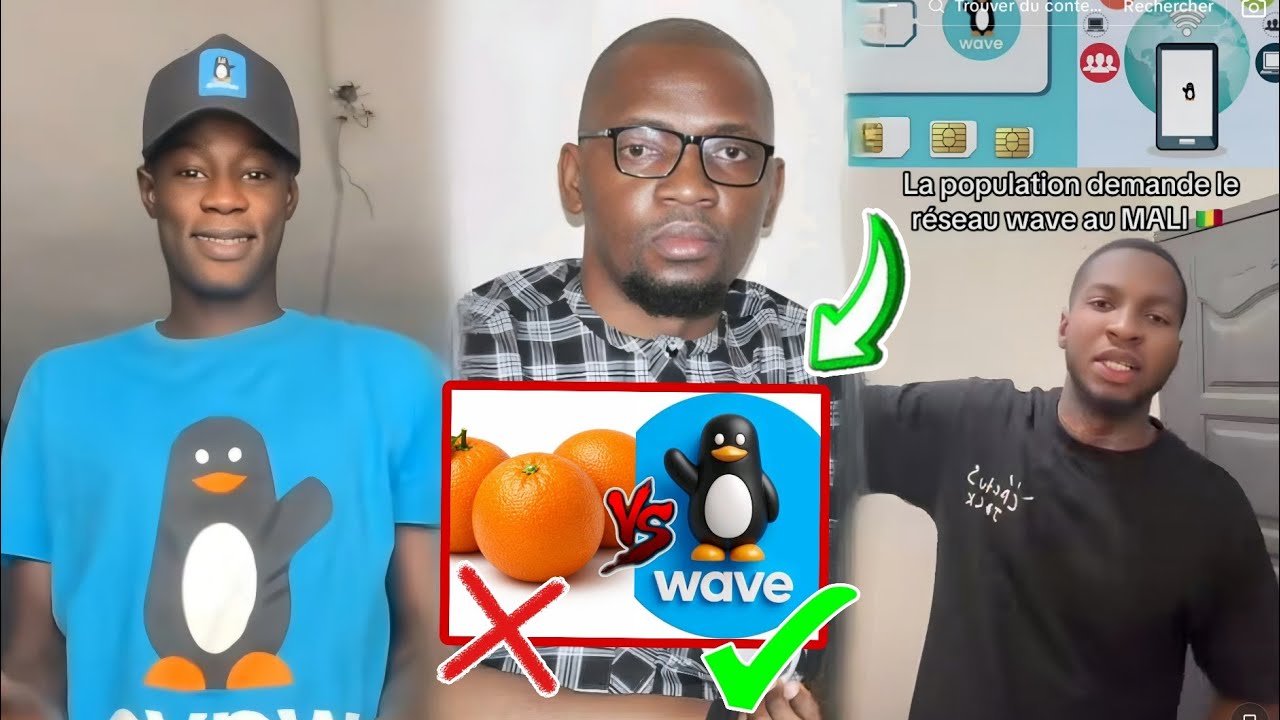 La Réaction des Maliens sur affaire de Wave Mali et les Opérateurs téléphoniques 