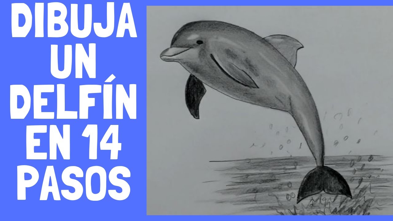 Como dibujar un delfín en 14 PASOS ? HD