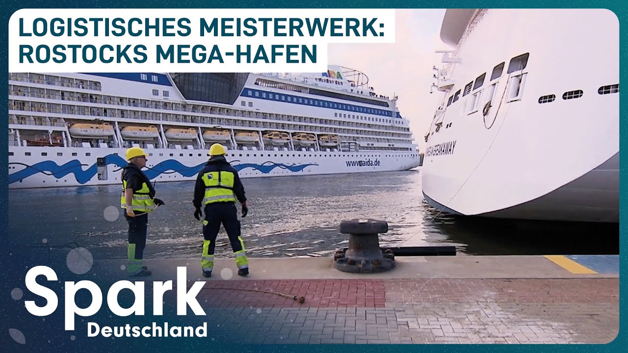 Hafenriese Rostock: Die Organisation von tausenden Schiffen
