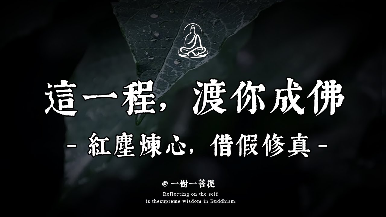 你我皆是未醒的佛陀，渡你成佛，亦在渡我：此程無別，皆是歸途|一樹一菩提 #覺醒 #禪悟人生 #人生感悟 #情感 #佛法 #正能量 #菩提解脫道 #心靈成長 #禅意生活 #人生感悟